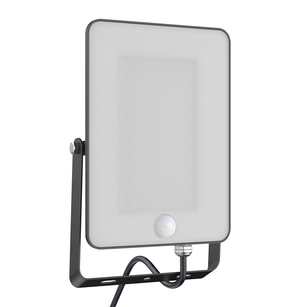 FLODLJUS LED Rörelsedetektor 800-4000Lm - 50W 4000Lm(rörelsedetektor)